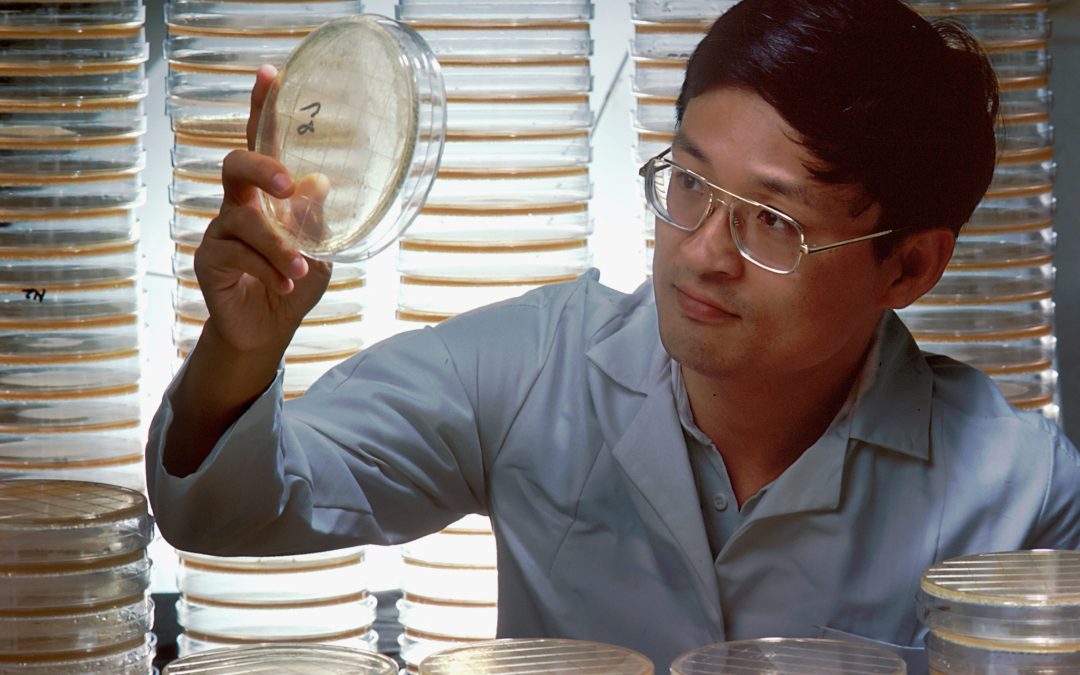 Who is a scientist?